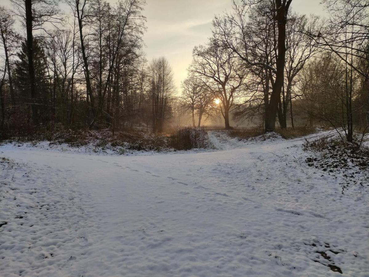 Ferienhaus Erna Doberlug-Kirchhain Exteriér fotografie