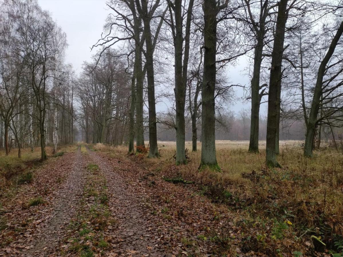 Ferienhaus Erna Doberlug-Kirchhain Exteriér fotografie