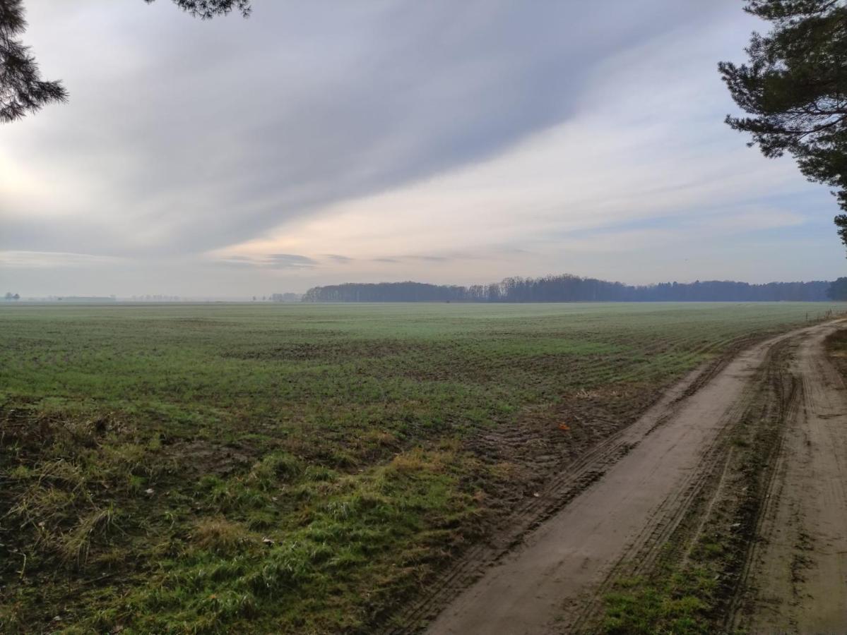 Ferienhaus Erna Doberlug-Kirchhain Exteriér fotografie