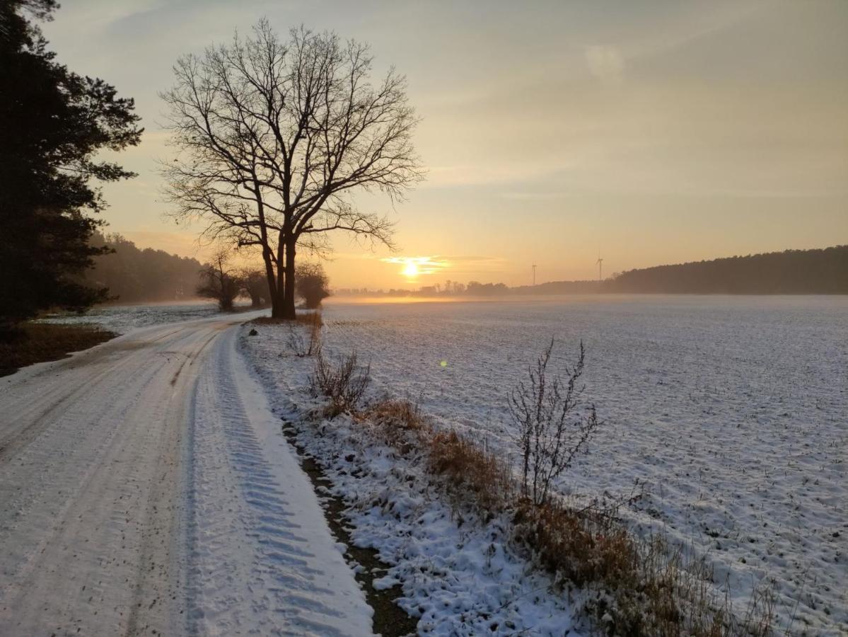 Ferienhaus Erna Doberlug-Kirchhain Exteriér fotografie
