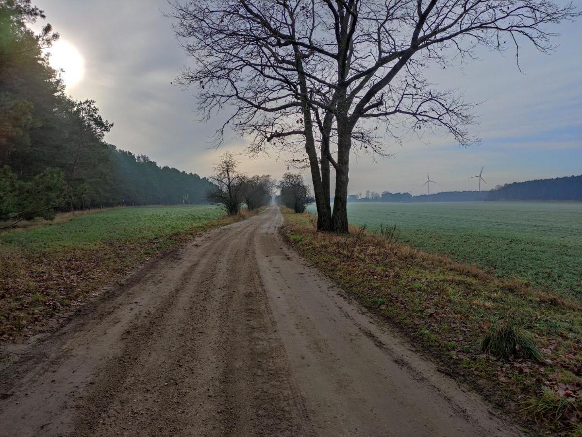 Ferienhaus Erna Doberlug-Kirchhain Exteriér fotografie