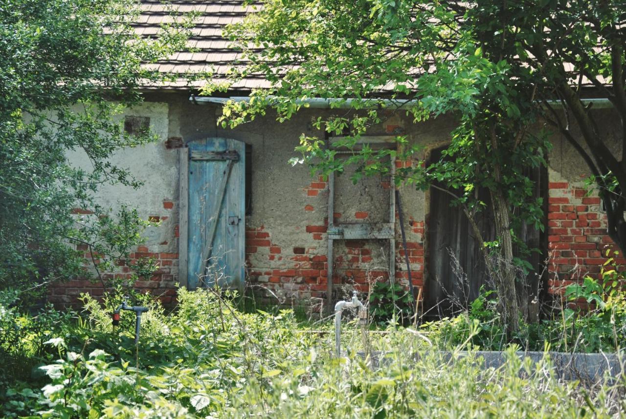 Ferienhaus Erna Doberlug-Kirchhain Exteriér fotografie