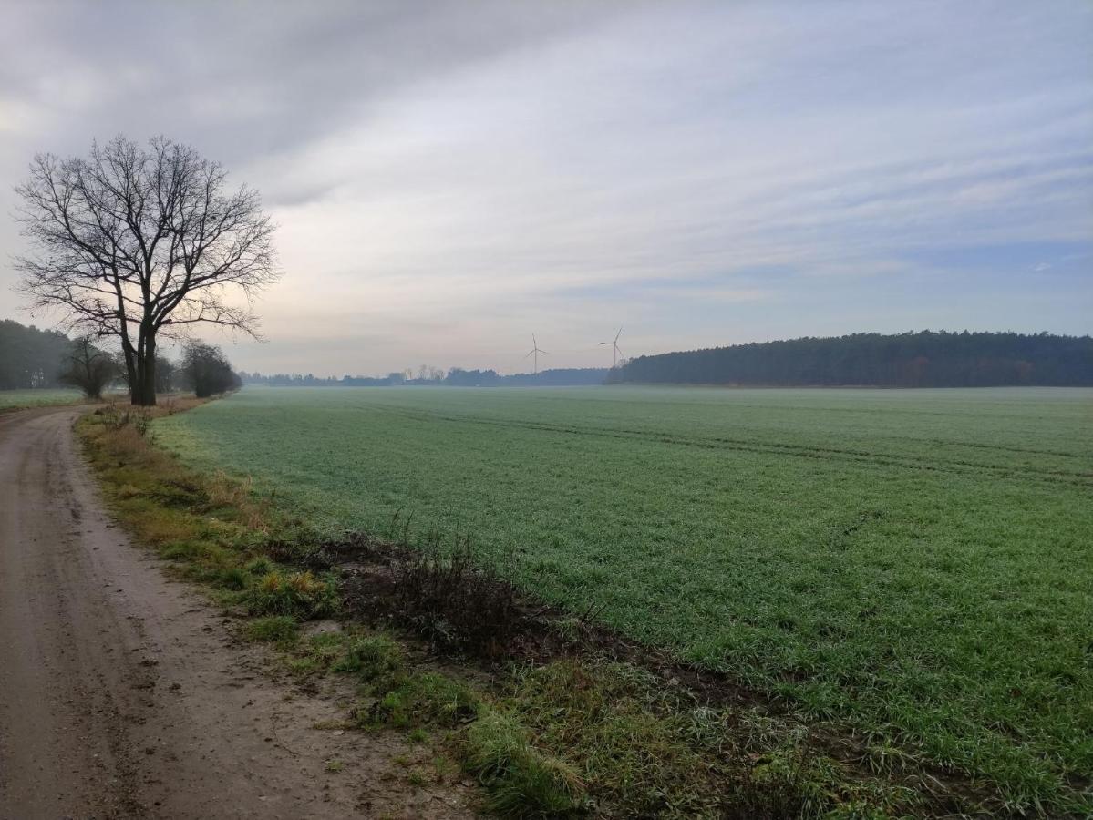 Ferienhaus Erna Doberlug-Kirchhain Exteriér fotografie