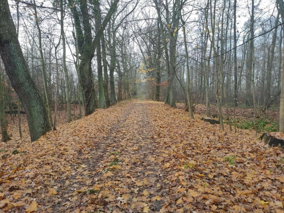 Ferienhaus Erna Doberlug-Kirchhain Exteriér fotografie